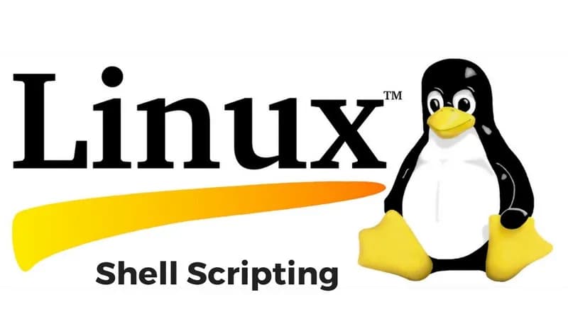 Basic Linux Shell Scripting for DevOps Engineers: A Beginner’s Guide | Day 4 of 90 Days of DevOps Journey🐧